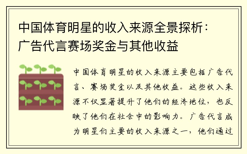 中国体育明星的收入来源全景探析：广告代言赛场奖金与其他收益