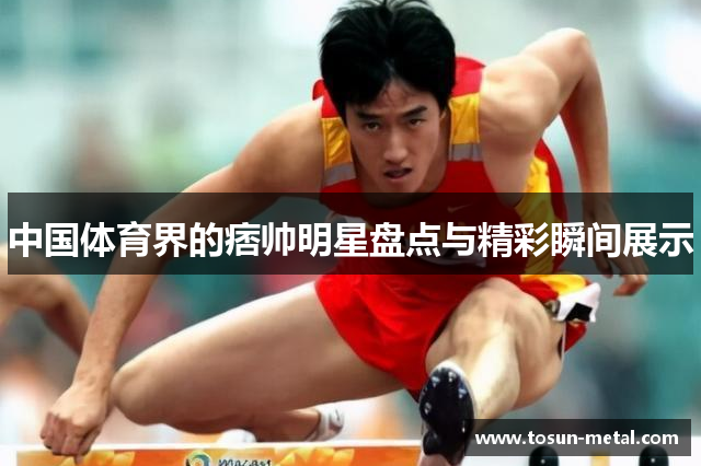 中国体育界的痞帅明星盘点与精彩瞬间展示