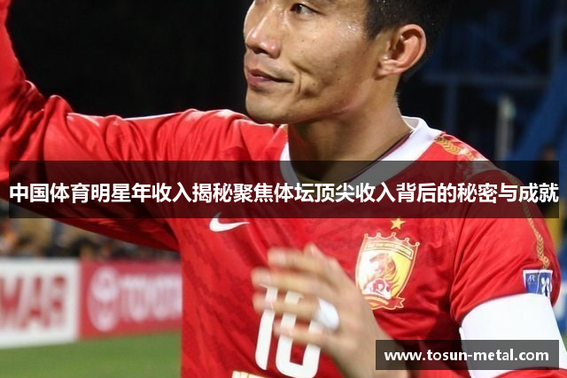 中国体育明星年收入揭秘聚焦体坛顶尖收入背后的秘密与成就