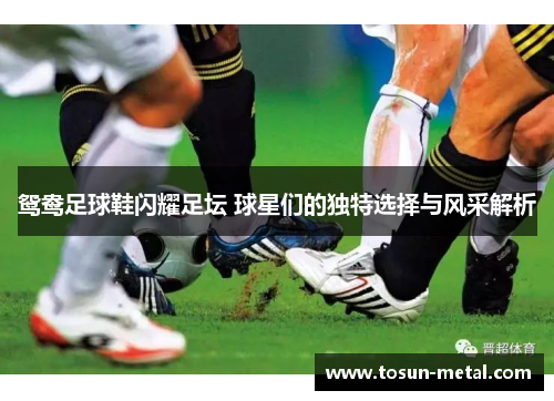鸳鸯足球鞋闪耀足坛 球星们的独特选择与风采解析