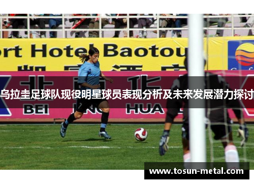 乌拉圭足球队现役明星球员表现分析及未来发展潜力探讨