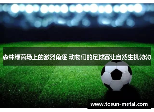 森林绿茵场上的激烈角逐 动物们的足球赛让自然生机勃勃