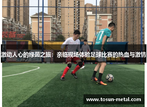 激动人心的绿茵之旅：亲临现场体验足球比赛的热血与激情