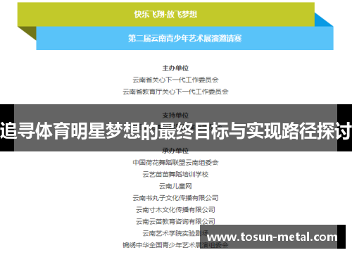 追寻体育明星梦想的最终目标与实现路径探讨